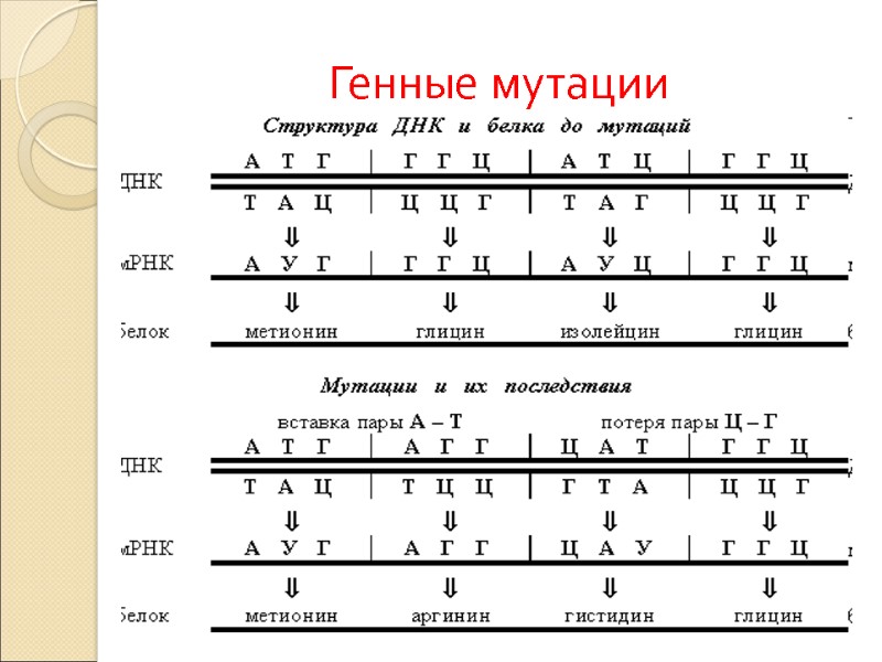 Генные мутации